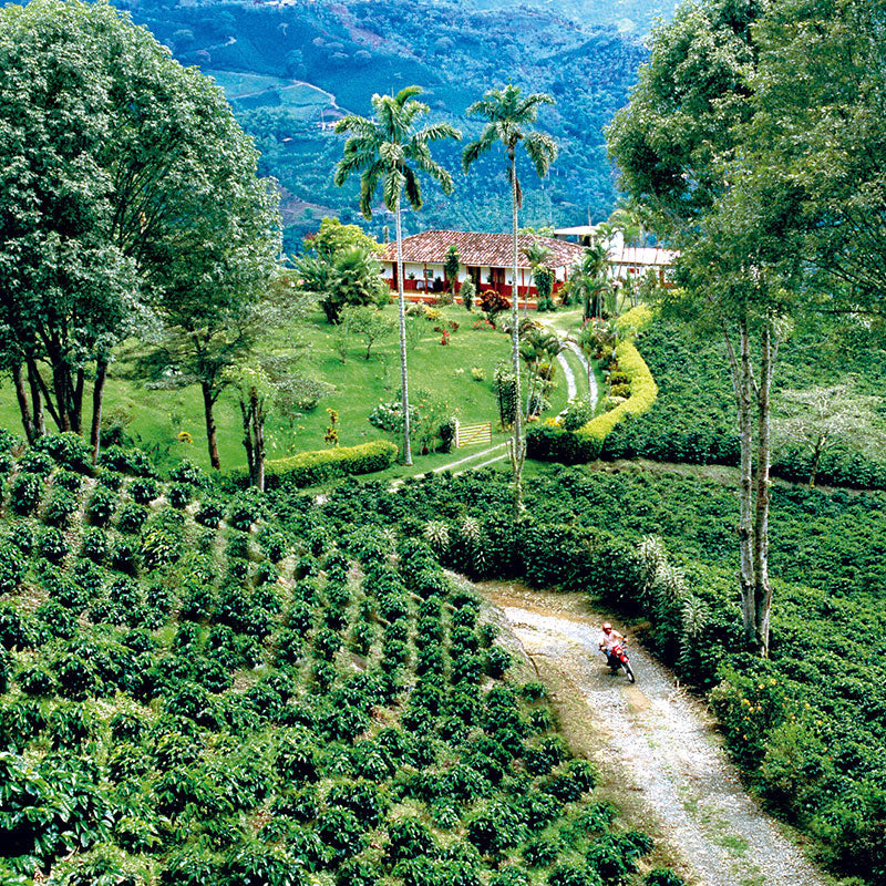 PERSONALIZED DRIP COFFEE FILTER BAGS (200 Pcs PACK)