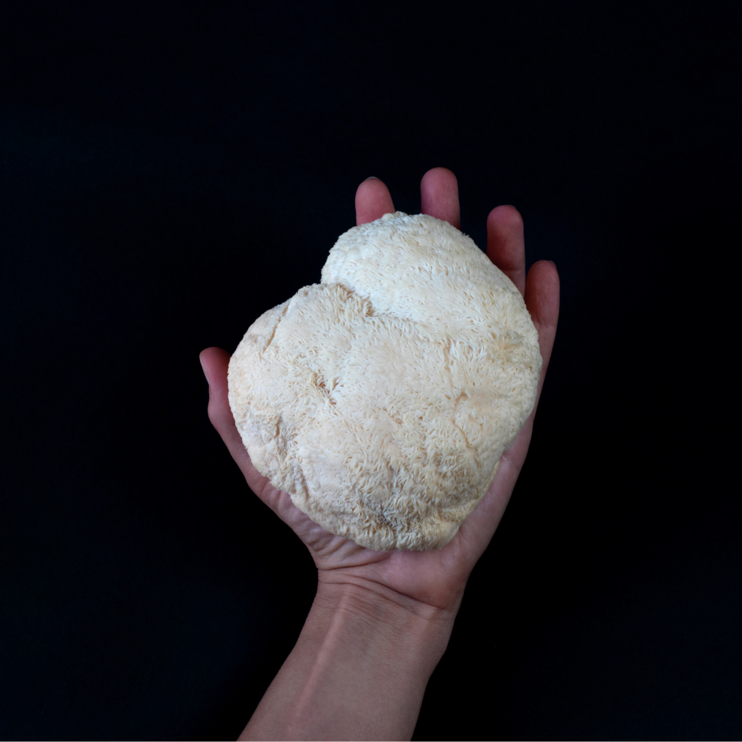 MUSHROOM SUPERBLEND - Organic Coffee with Functional Mushrooms (250g)