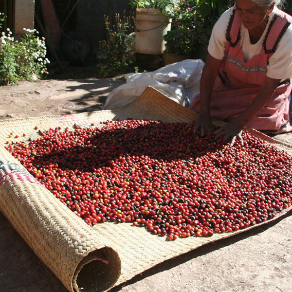 PERSONALIZED ORGANIC ARABICA COFFEE (20 Pcs PACK)