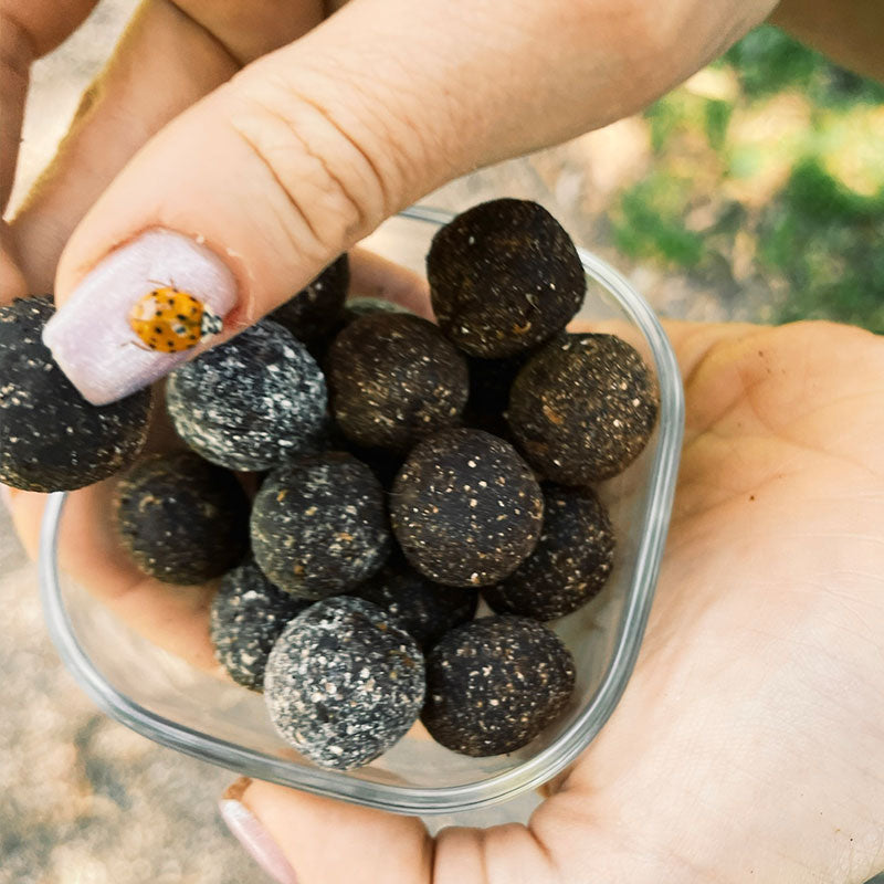 HEALTHY COFFEE GIFT BOX