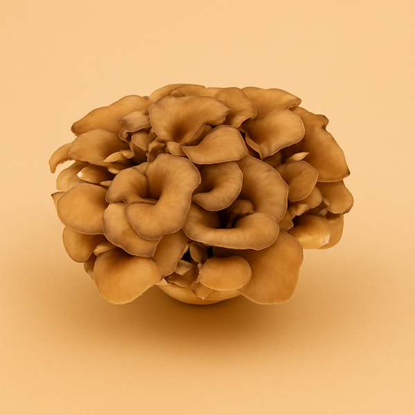 Maitake